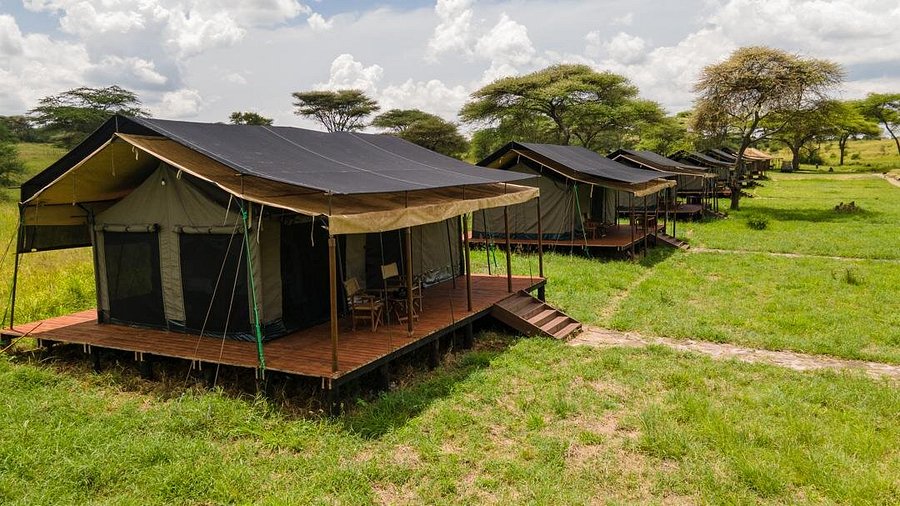 Canvas safari tents in a natural setting